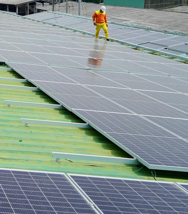 A person in high visibility clothing inspects an array of solar panels on a green roof.